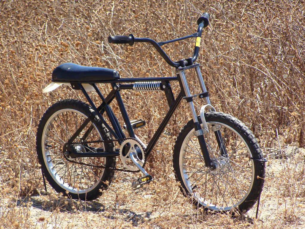schwinn eagle a20