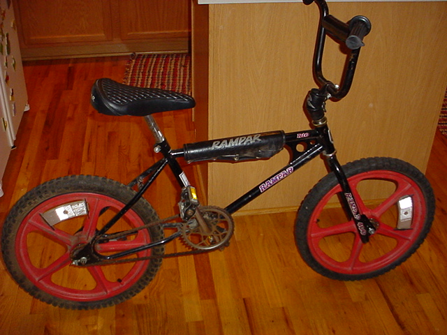 raleigh rampar r10