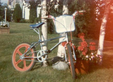 1982 Haro bike.jpg