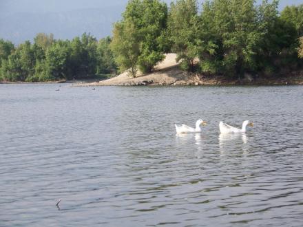 peck_park_024.jpg