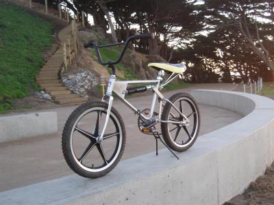 IMG_4584__Large_.JPG